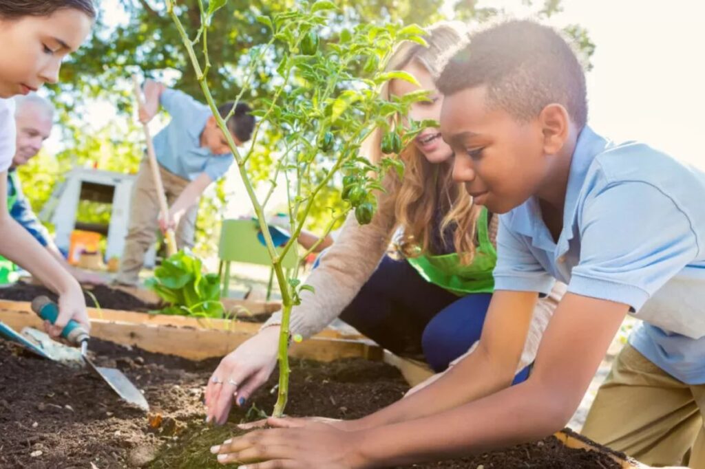Projeto Multiplicadores em Educação Ambiental Mirim Sementinha do Amanhã