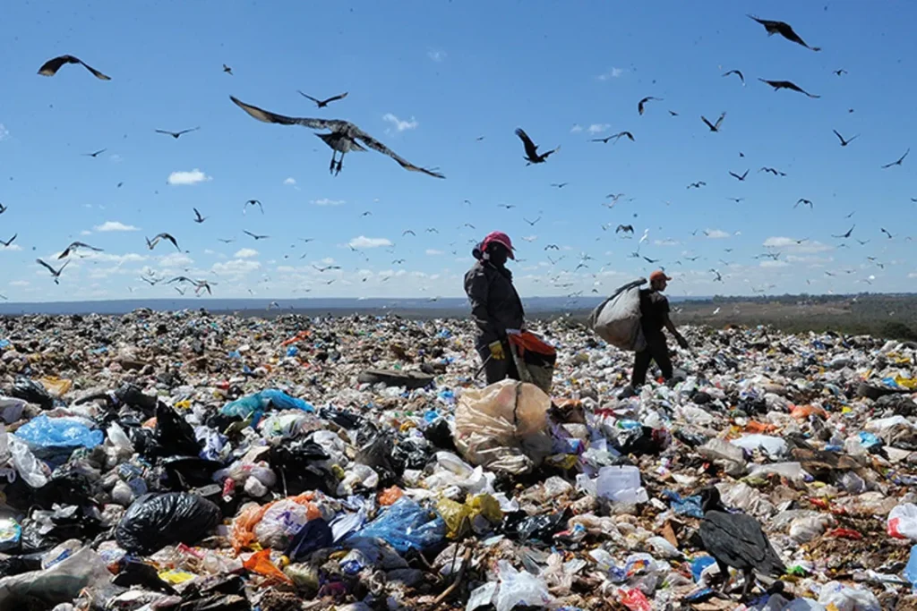 Projeto Educação e Saúde Ambiental