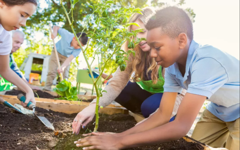 PROJETO DE EDUCAÇÃO EM SAÚDE AMBIENTAL
