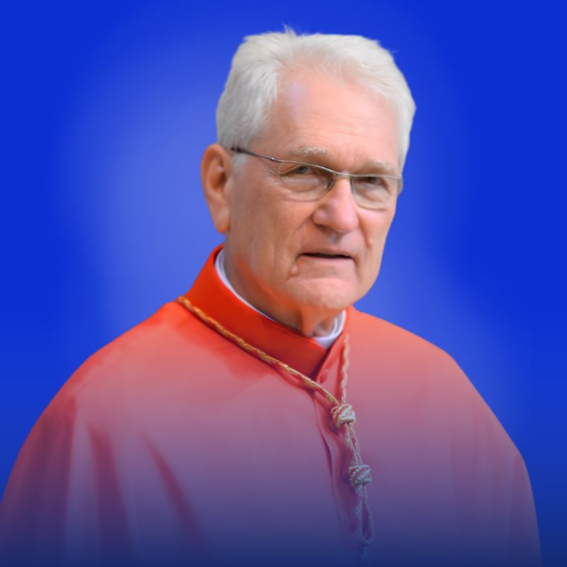 Dom Leonardo