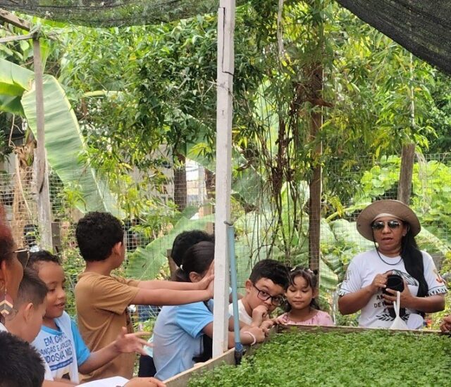 Crianças aprendem a cuidar da Amazônia em oficina de educação ambiental em Manaus